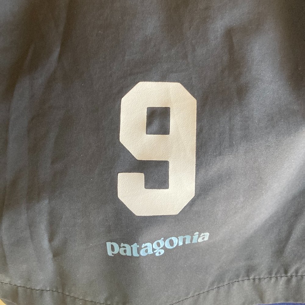 Patagonia Ultra-light hiking shorts